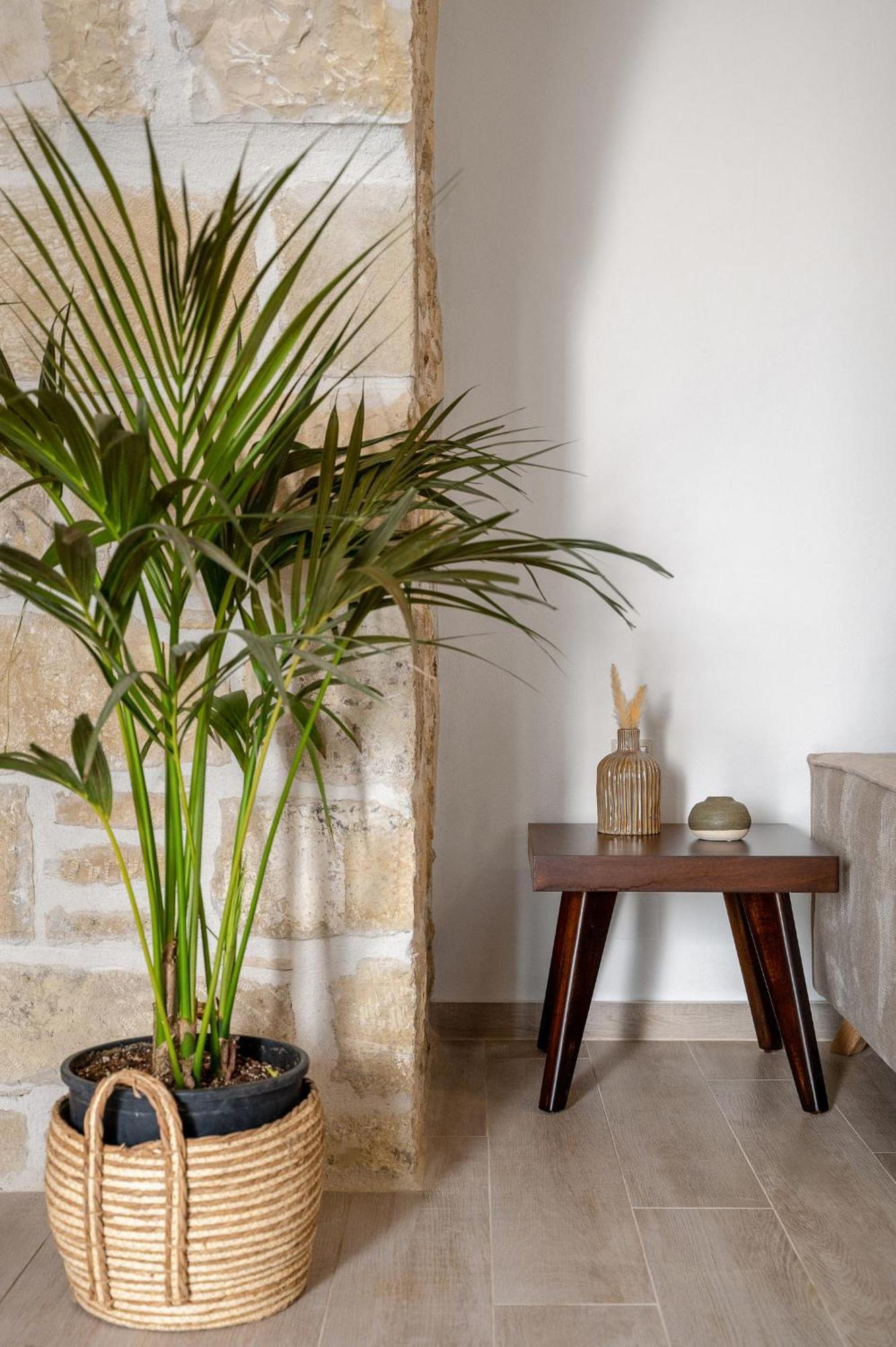 פיטסידיה Papadia Luxury Apartments מראה חיצוני תמונה